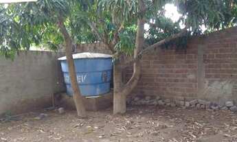 Imagem 6: Casa para alugar