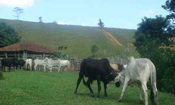 Imagem 7: Linda Fazenda Boa Vista Corgo Novo - Serrinha