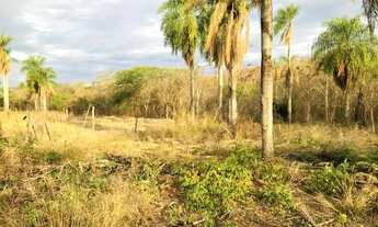 Imagem 7: Chácara a venda Fronteira Bolivia e Corumbá MS