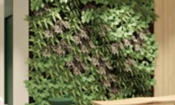 Imagem 2: APARTAMENTOSão Paulo