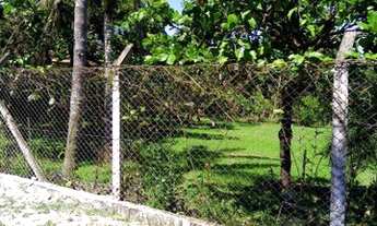 Imagem 4: Chácara boa para descansar é plantas