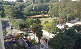 Imagem 5: Apartamento - São Bernardo - Campinas