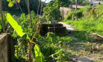 Imagem: Terreno no novo reino, próx Tancredo