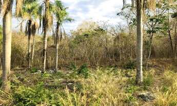 Imagem 5: Chácara a venda Fronteira Bolivia e Corumbá MS