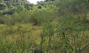 Imagem 5: Sítio 2,5 alqueires