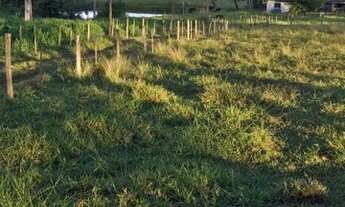 Imagem 3: Sítio 8.74 alqueire sebastianopolis do sul