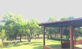 Imagem 2: Itapetininga-Sp, Sitio 17 Alqueires