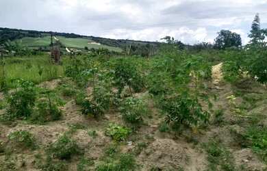 Imagem 4: Vendo um terreno