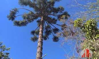 Imagem 3: Ótima Chácara em Paraibuna !