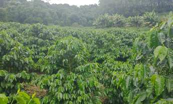 Imagem 2: Propriedade pedras azul 24 alqueires