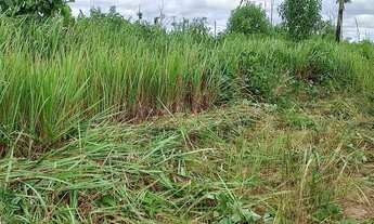 Imagem 4: Lote 100x230 aceito carro