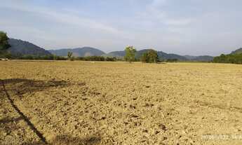 Imagem: FAZENDA COM 1200 HECTARES FRENTE BR 101