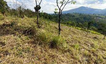 Imagem 3: Terrenos na planta