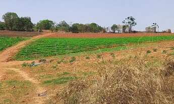 Imagem 3: Terrenos com 1000 metros quadrados ideal pra vc