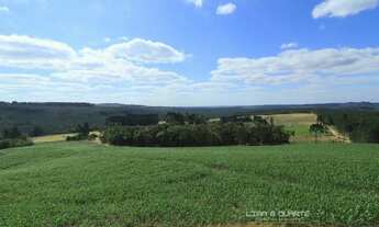 Imagem 6: Chácara para Venda em Rio Preto Mafra-SC