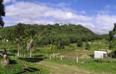 Imagem 4: Área Rural para Venda em Tijucas do Sul, Matulão