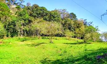 Imagem 4: CHÁCARA LIMDA EM MORRETES