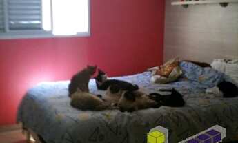 Imagem 4: SAO CAETANO DO SUL - Residential / Apartment - SANTA MARIA