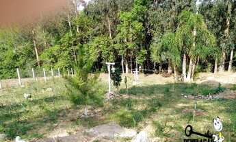 Imagem 3: Chácara à venda, 4000 m² por R$ 365.000 - Zona Rural - Quitandinha/PR