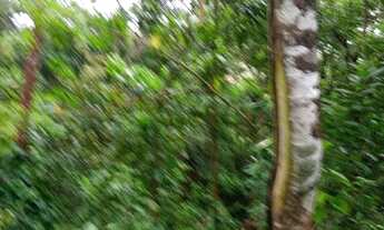 Imagem 6: Terreno Terreno / lote com venda por R$150.000