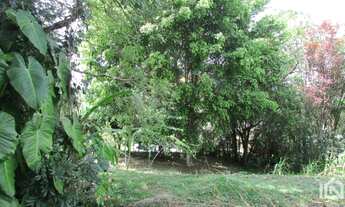 Imagem 5: SãO ROQUE - Terreno Padrão - Patrimônio do Carmo