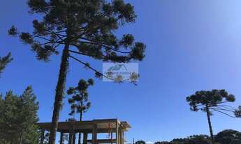 Imagem 2: Casa à venda no bairro Centro - Campo Alegre/SC