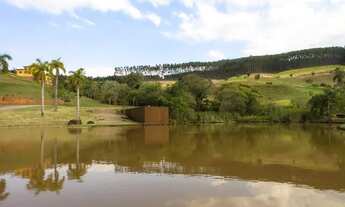 Imagem 5: Terreno-À VENDA-Fazenda Santo Antonio das Paineiras-Morungaba-SP