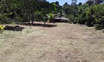 Imagem 2: Vendo ou troca um sitio por casa ém Manaus