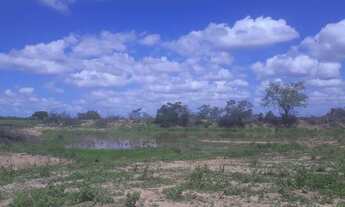Imagem 2: Excelente Fazenda com 240 hectares no córrego de São Mateus Município de boa saúde
