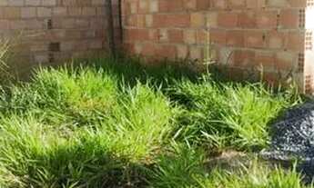 Imagem: Lote ocupação esperança