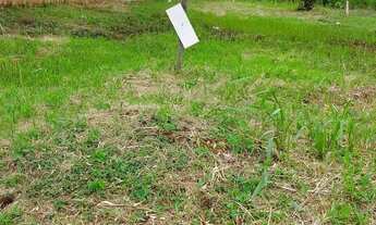 Imagem 2: Vendo terreno no vila Acre, ramal do canil