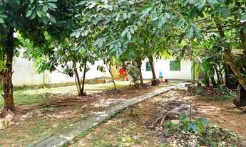 Imagem 7: Casa Terrea no Bosque das Palmas 2 Qts 375m² e um grande quintal para lazer