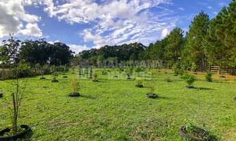 Imagem 5: Sítio com casa nova em alvenaria, piscina e horta no Túnel Verde