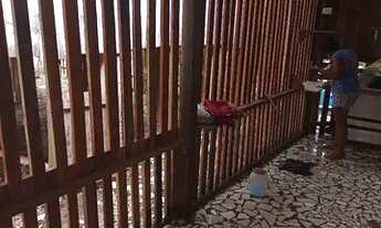 Imagem 6: Aluga-se apartamento 400 não paga água e nem luz