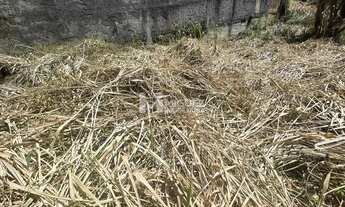 Imagem 4: Tijuca Terreno / lote com venda por R$1.500.000