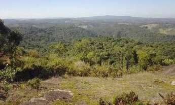 Imagem 6: Oportunidade única 35000m2!! Apenas R$ 55.000,00