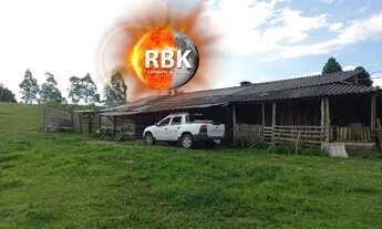 Imagem 4: Maravilhosa Área de terra 2.3 hectares Porteira fechada em Glorinha de barbada!!!!