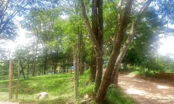 Imagem 7: Chacara ,terreno monte alto