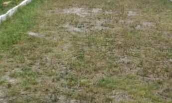 Imagem 3: Terreno cabo frio