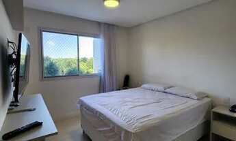 Imagem 5: LUDCO- GREENVILLE