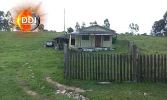 Imagem 3: Maravilhosa Área de terra 2.3 hectares Porteira fechada em Glorinha de barbada!!!!