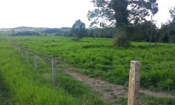 Imagem 7: Fazenda a venda com Dupla Aptidão Região de Juara MT