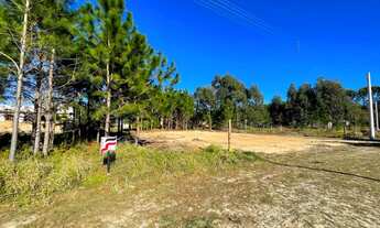 Imagem 4: Terreno proximo ao comércio, Bellatorres