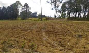 Imagem 7: VENDO Lote/Terreno para venda com 500 metros quadrados em Vargem do Salto - Ibiúna - SP