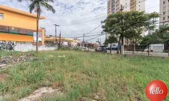 Imagem 2: São Paulo - Terreno Padrão - Vila Romana