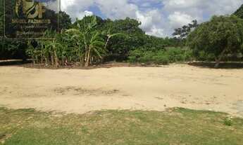 Imagem 5: Ótima Chácara de luxo muito estruturada próximo a Monte Alegre