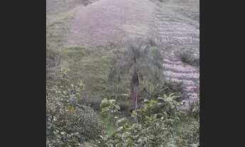 Imagem 2: Terreno Piaçu/Muniz Freire