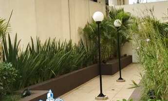 Imagem 6: SãO PAULO - Padrão - Vila Mascote