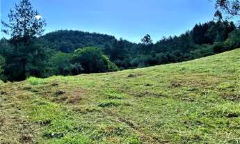 Imagem 4: Fazenda/Sítio/Chácara para venda tem 1000 metros quadrados com 1 quarto em Itacolomi - Gra