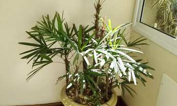 Imagem 5: PECHINCHA JACAREPAGUÁ CONDOMÍNIO VIVENDAS DO CASTELO DOIS QUARTOS (SENDO UM SUÍTE) OPORTUN